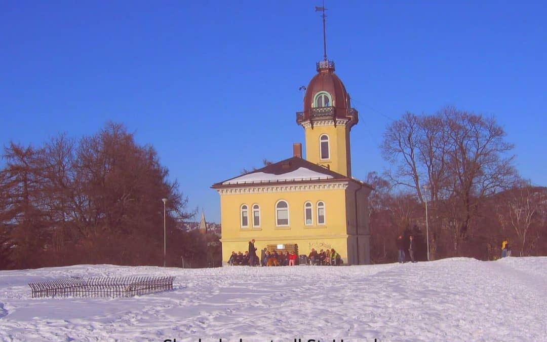 Skadedyrkontroll St. Hanshaugen