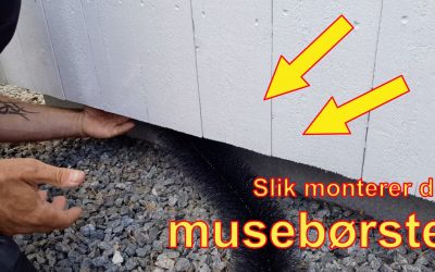 Musebørsteenhet [video]